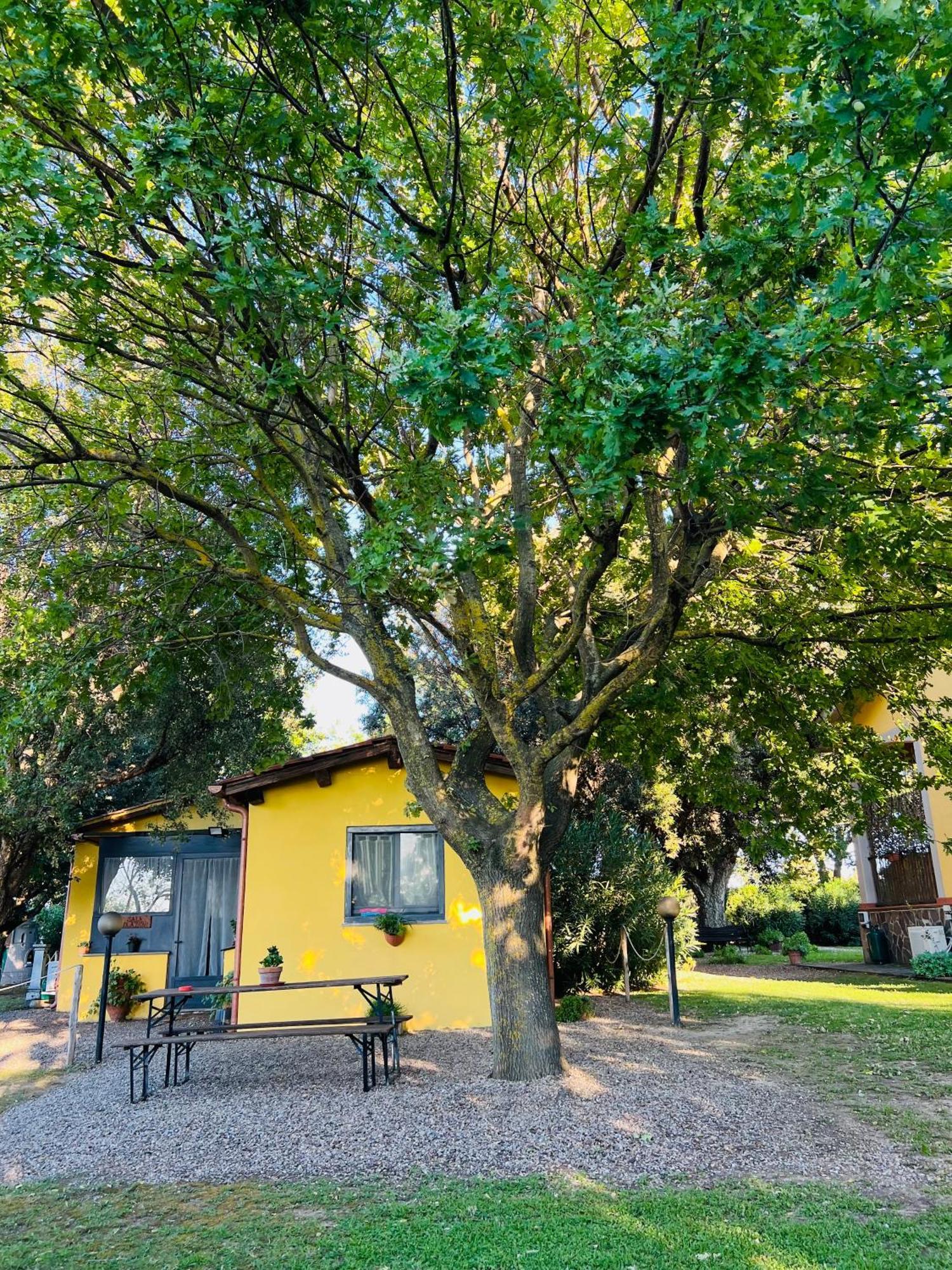 Il Melarancio Bed & Breakfast เปชชาโรมานา ภายนอก รูปภาพ